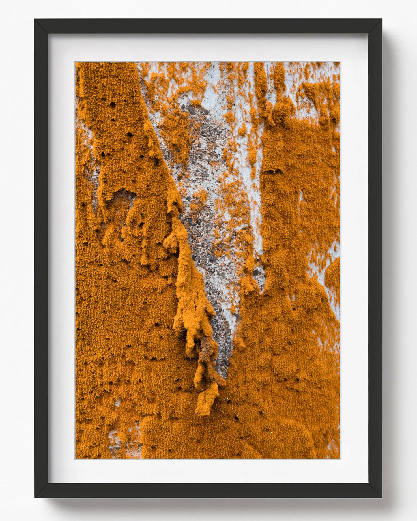 Purien