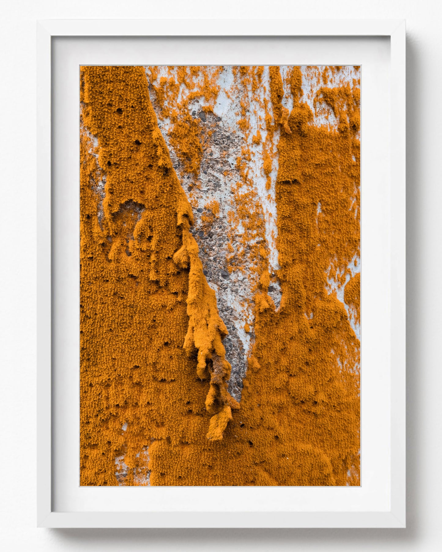 Purien