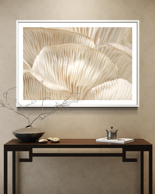 The Story Behind the Piece: "Precillium"