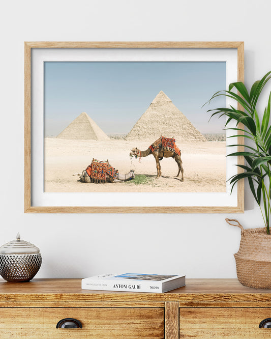 The Story Behind The Piece: "Chimera" Framed Art