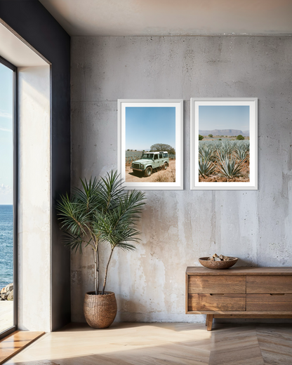 Laelia Triptych