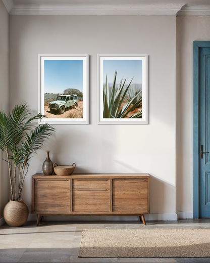 Laelia Triptych