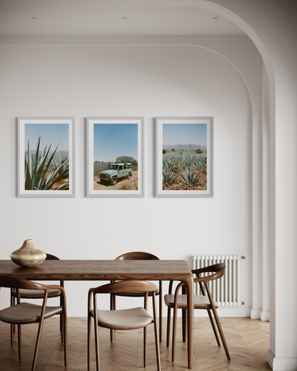 Laelia Triptych