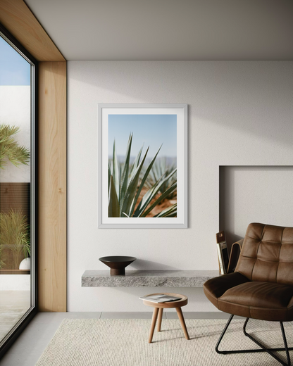 Laelia Triptych