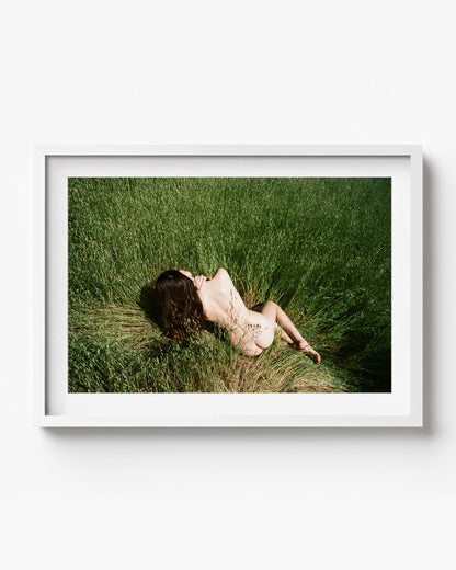 Elaria